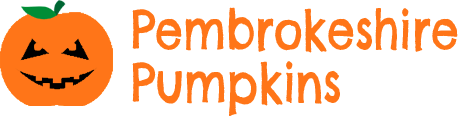 Pembrokeshire Pumpkins pumpkin farm